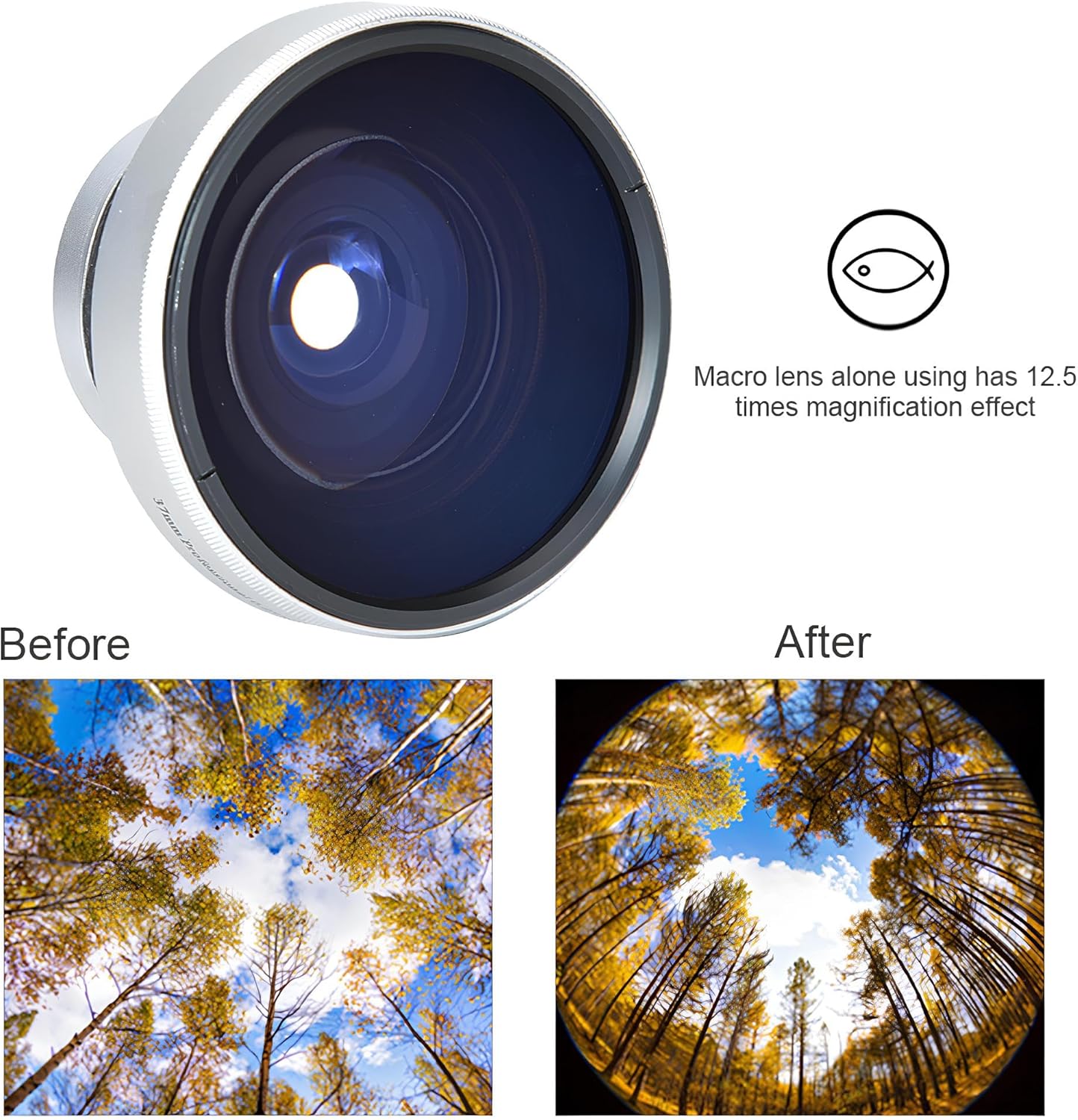 acouto-fish-eye_1